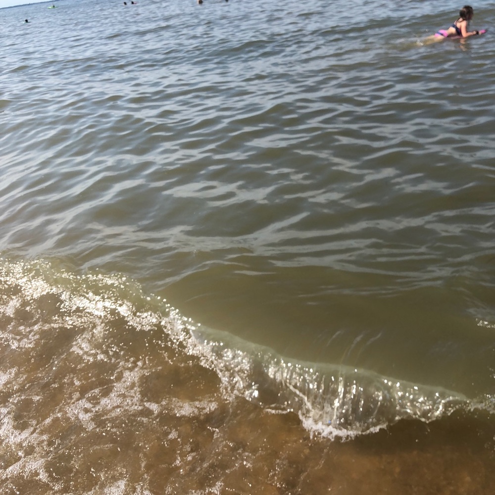 Meet your Posher, Rosa maria